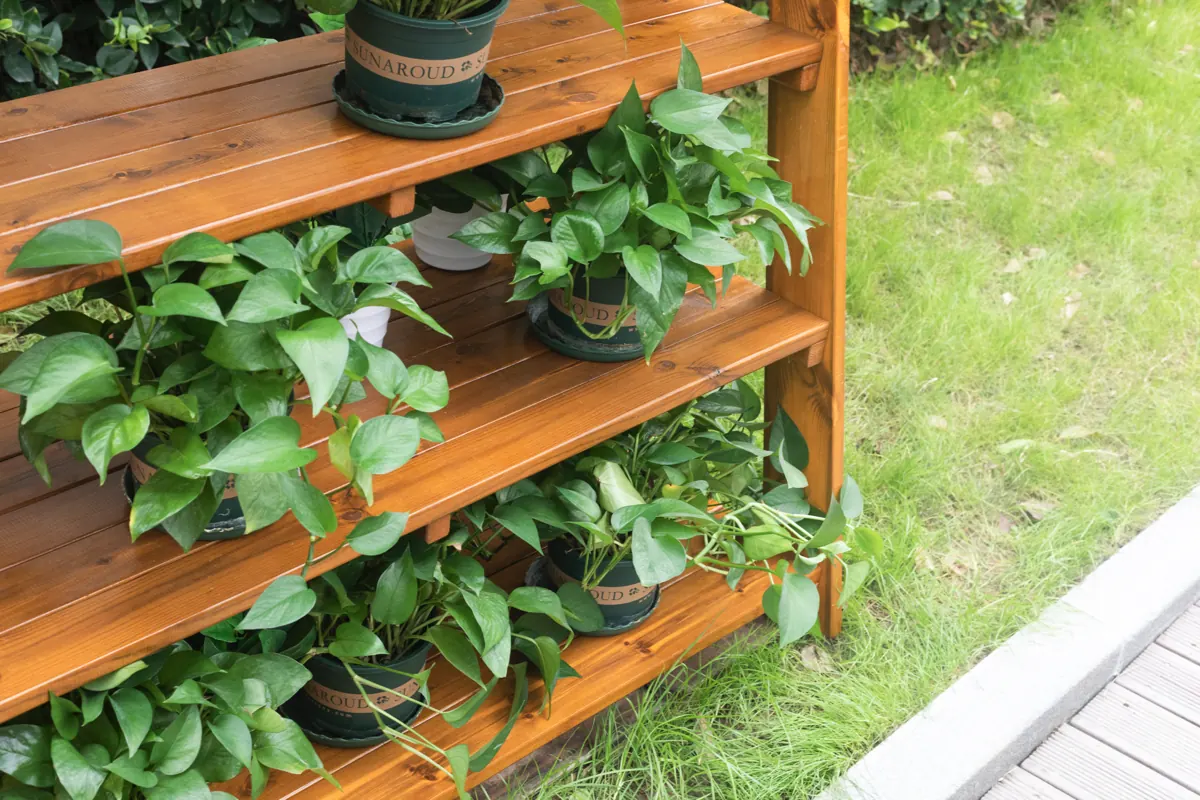 Étagère d’extérieur pour plantes – HW1-S264-V01-A_06